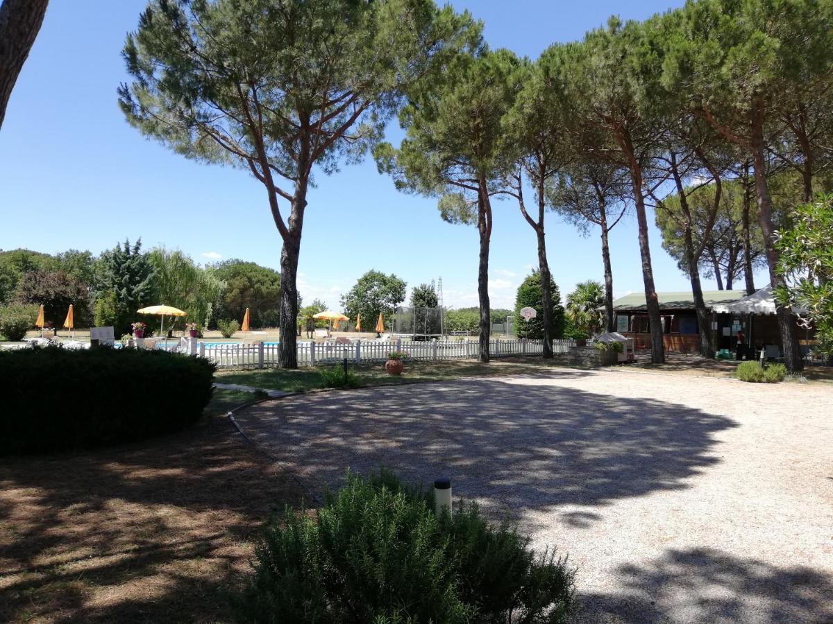 Boschetto Del Lago Castiglione del Lago Eksteriør billede